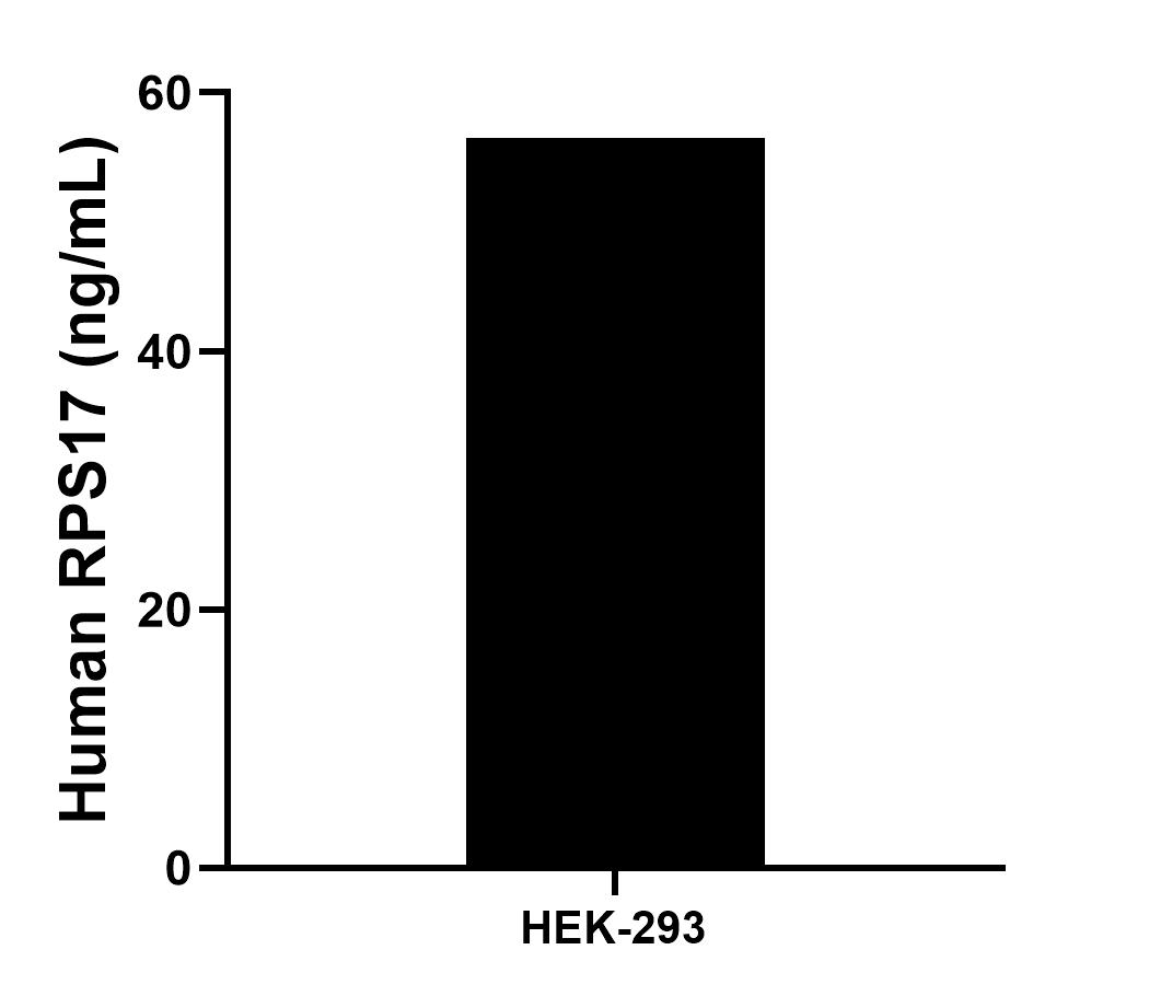 Sample test of MP00785-1